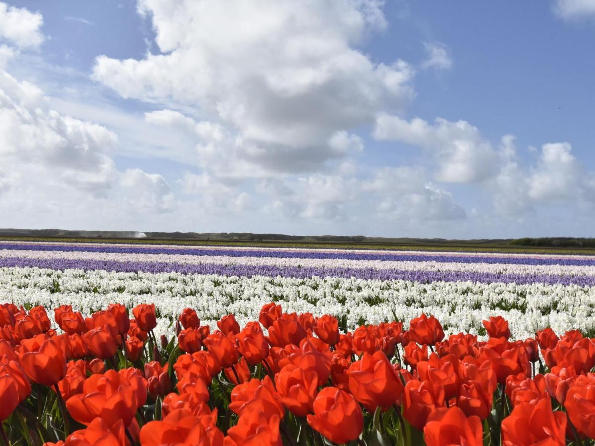 Studio Hazenborgh In Callantsoog Near The Beach Экстерьер фото